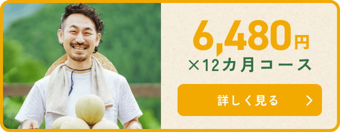 10,980円 × 12カ月コース