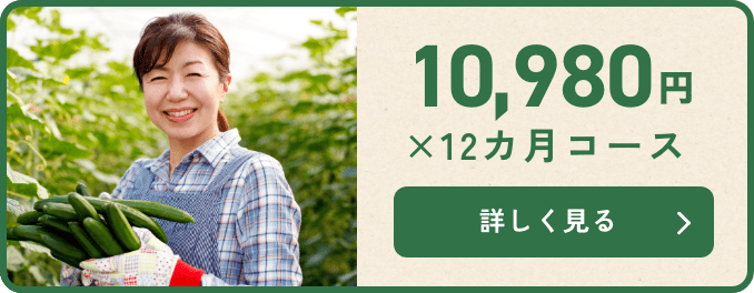 6,480円 × 12カ月コース